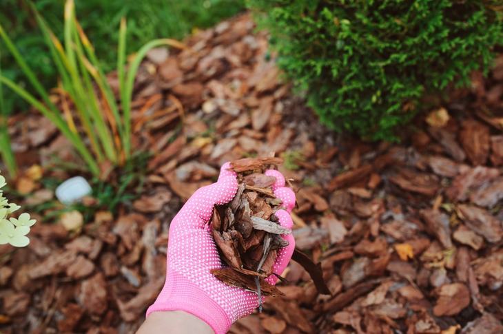 Mulch is a good way to cultivate the soil in your garden or yard