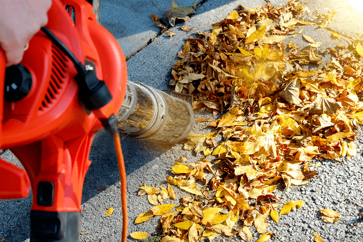 Smaller leaf blowers are only essential for small cleanups in the driveway or sidewalks