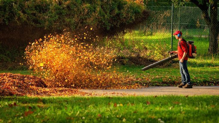 To make your task less tedious, use a blower vacuum to gather all leaves in one pile