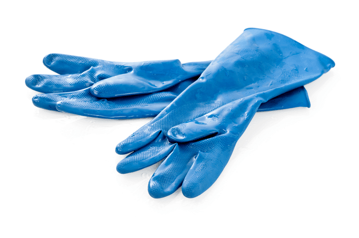 To protect you hands from the concentrated formulation of the rooting hormone, it is recommended to wear rubber gloves