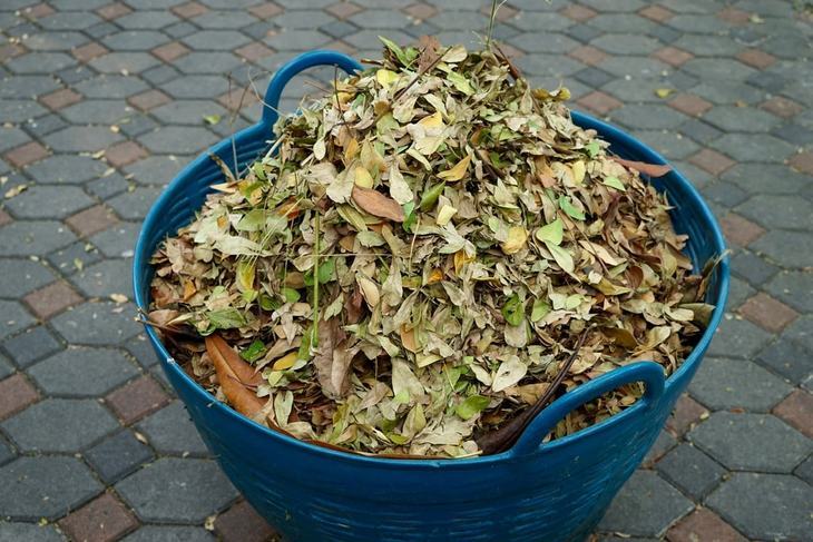 Use a leaf shredder to get rid of your garden waste and turn it into a mulch