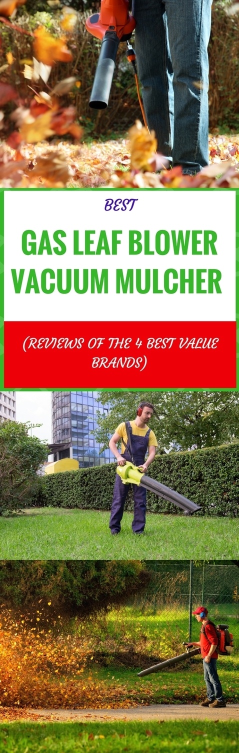 best gas leaf blower vacuum mulchers pin it