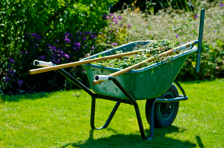 If you want to have a well-maintained garden, you need to properly take care of it from time to time