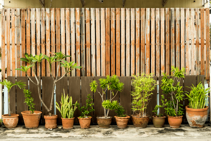 Screenings made of wood materials are great for blending in with your plants