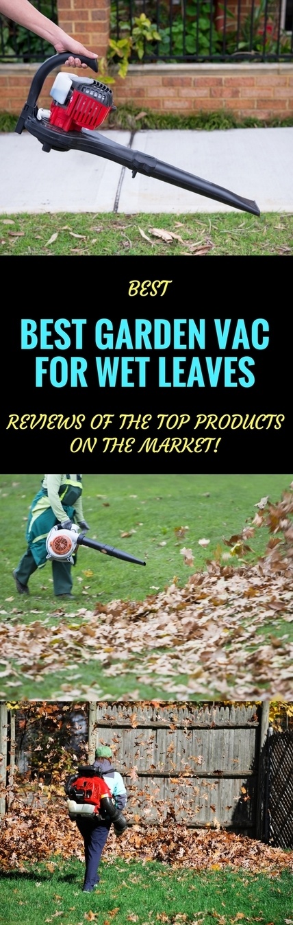 best garden vac for wet leaves pin it