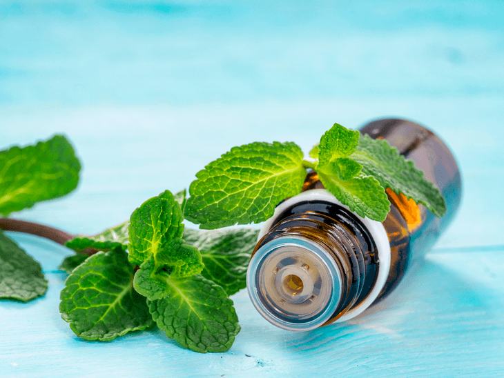 One of the effective and fragrant ways on how to get rid of ants without killing them is by using peppermint essential oil