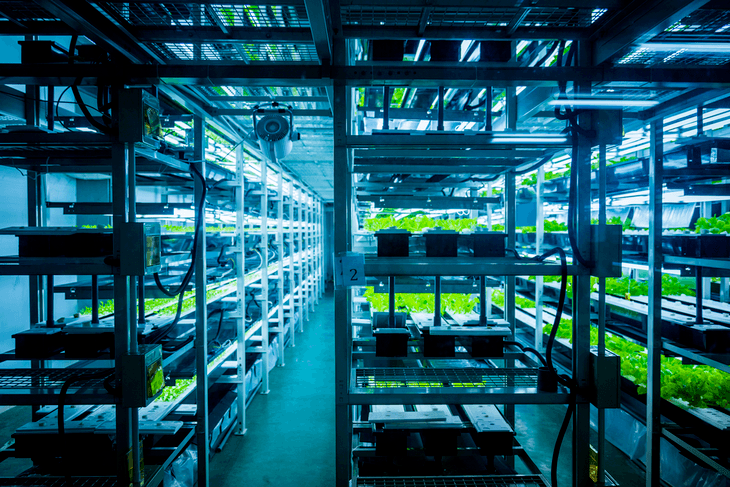 The hydroponic system requires a refrigeration unit necessary for optimal plant growth