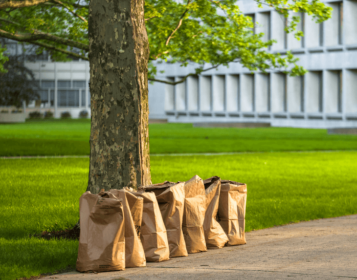 Use compostable bags when collecting your yard wastes