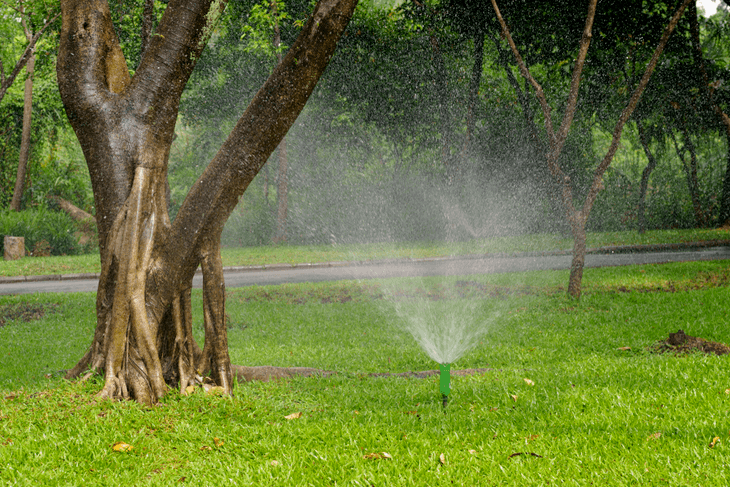 With creativity, you can make use of a DIY sprinkler system for your lawn