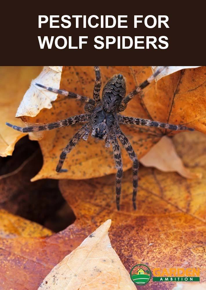 best pesticide for wolf spiders