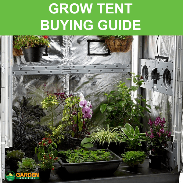 Best Grow Tent For The Money 