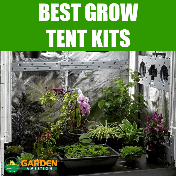  5 Best Grow Tent Kits: Complete Reviews Of The Best Brands 2018