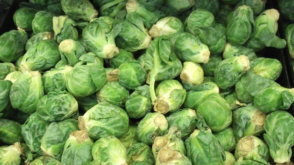 how to grow brussel sprouts - Brussels Sprouts