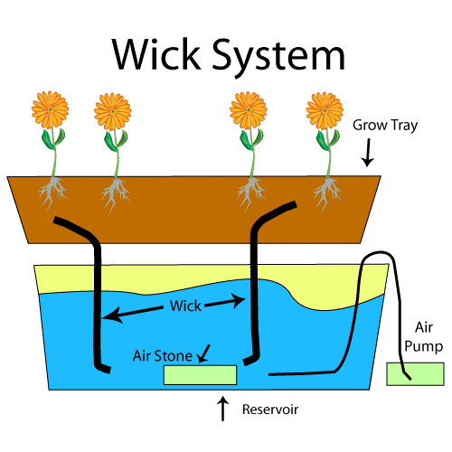 A diagram of the setup of wick method