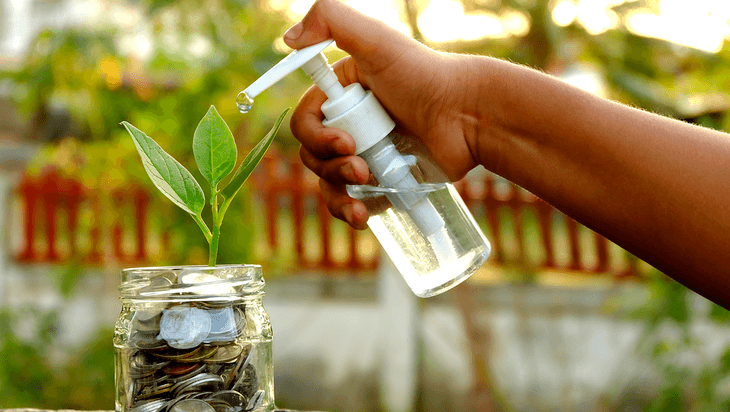 A good plant care requires proper watering