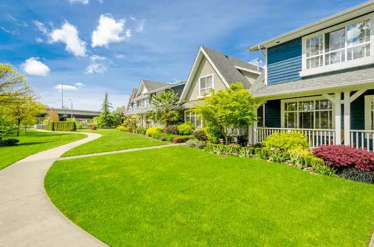 A house with a perfectly green lawn is possible through the removal of clovers