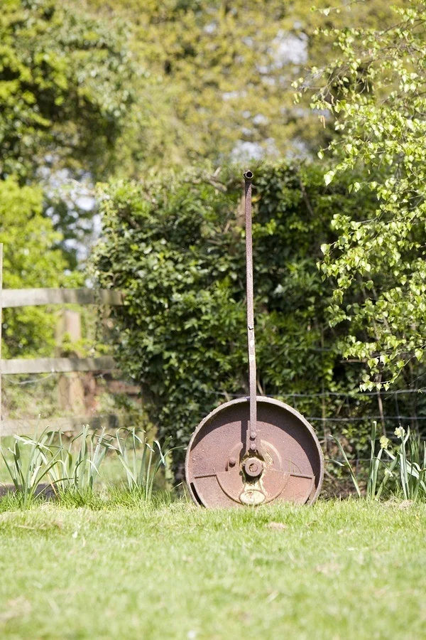 A lawn roller in the garden