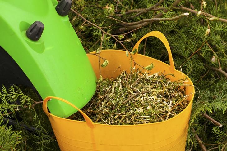 A leaf shredder can be used to create mulch that can protect plants against extremely cold temperature