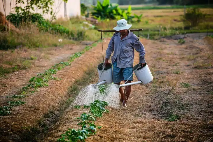 A man watering his plants using two watering cans