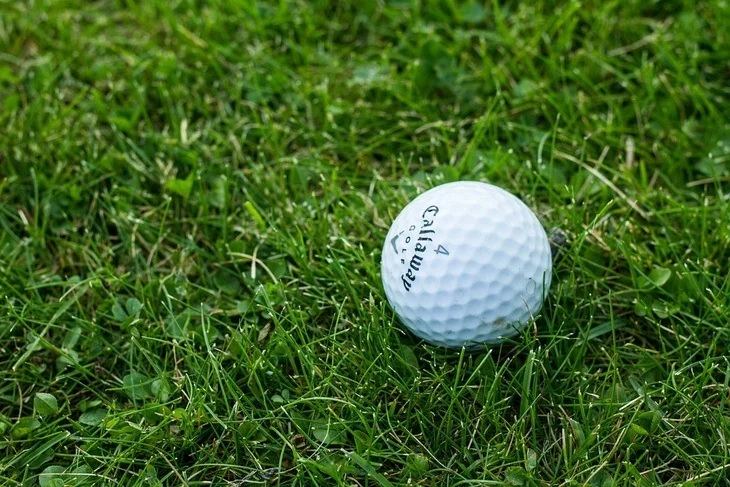 A naturally grown dense grass 
