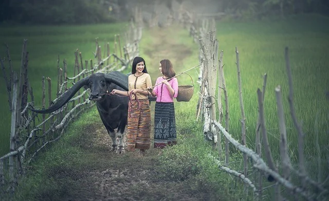 Photo of two woman and a carabao