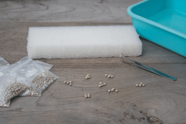 An average of $30 can already purchase the basic materials needed to set up a hydroponics garden at home.