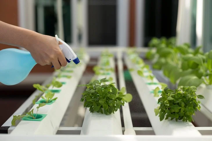 Anyone can easily build a hydroponic garden at home