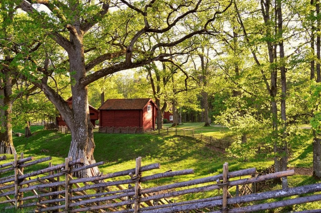 House surrounded by trees
