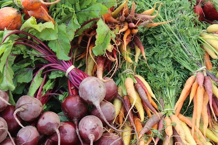 As shown above, the carrot has a wide variety