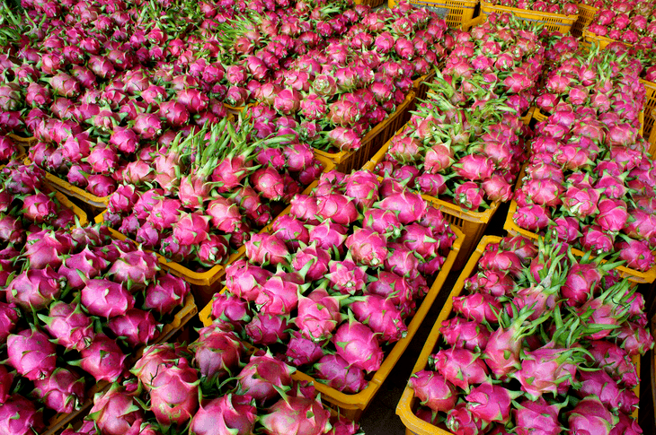 As the demand for the fruit increases, so do the opportunities for farmers and vendors