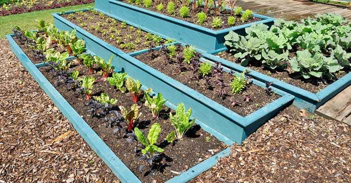 AZOMITE Trace Minerals for Better Garden Soil