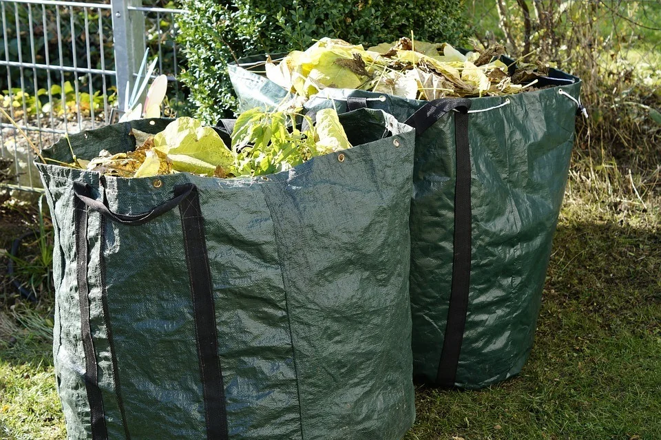 flea beetle - cleaning garden