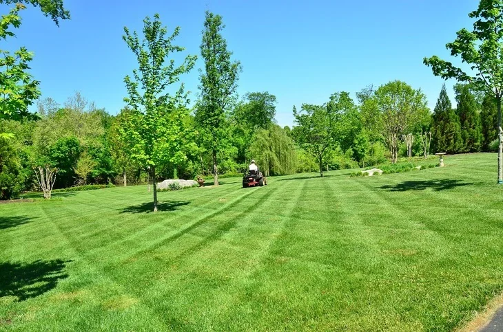 Consider the size of your yard when choosing the right lawn equipment.