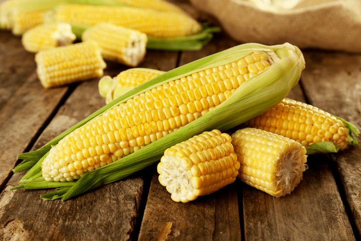 Corn is an important crop of humans and animals