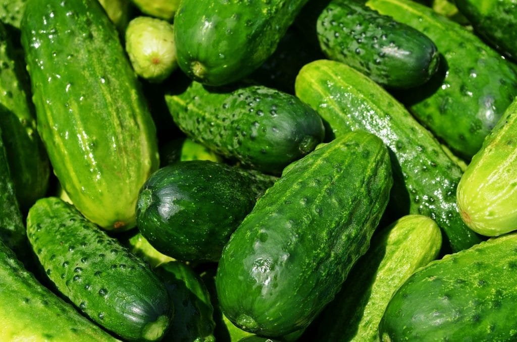 A bunch of cucumbers