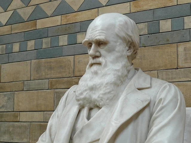 statue of Charles Darwin who used snapdragons on his studies on floral development