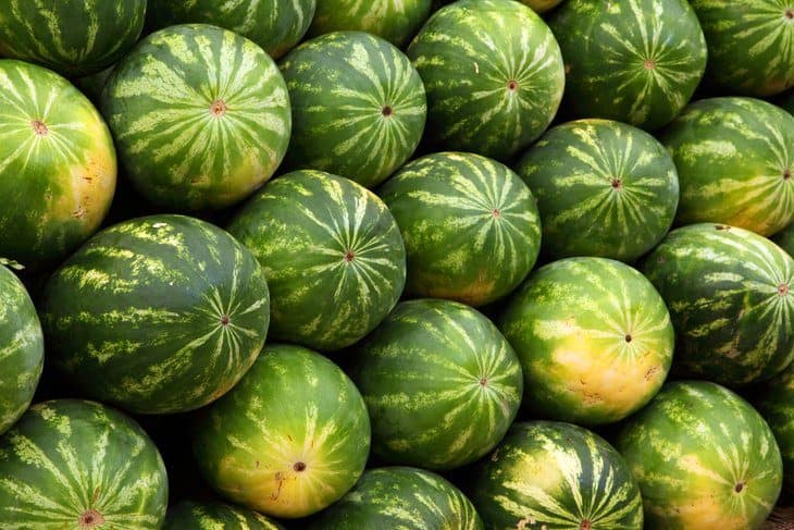 Different varieties of watermelon anyone can choose from