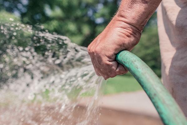 watering plants with hose