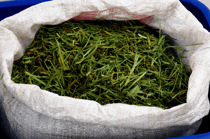 Grass clippings can be one of the components of your compost