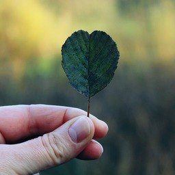 Is having a green thumb necessary to start growing crops?