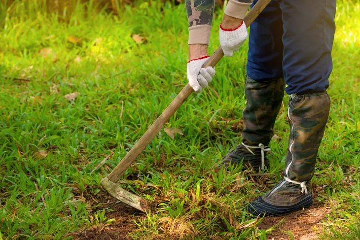 Hoe is a gardening tool used to pull plants off the ground