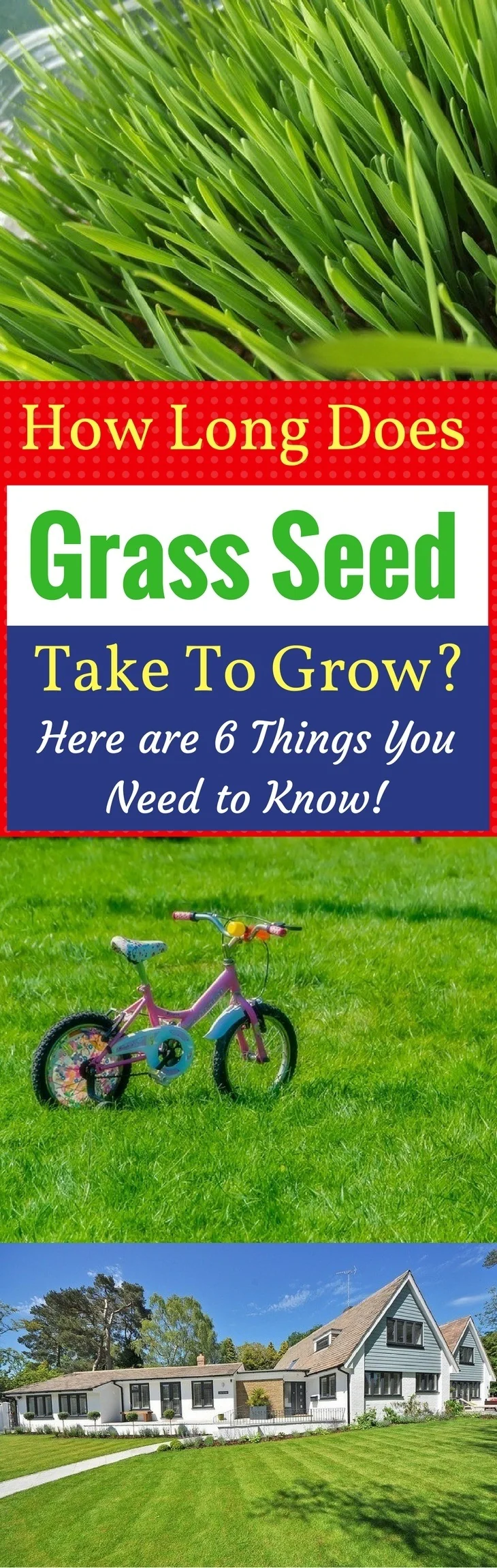 how long does grass seed take to grow fully