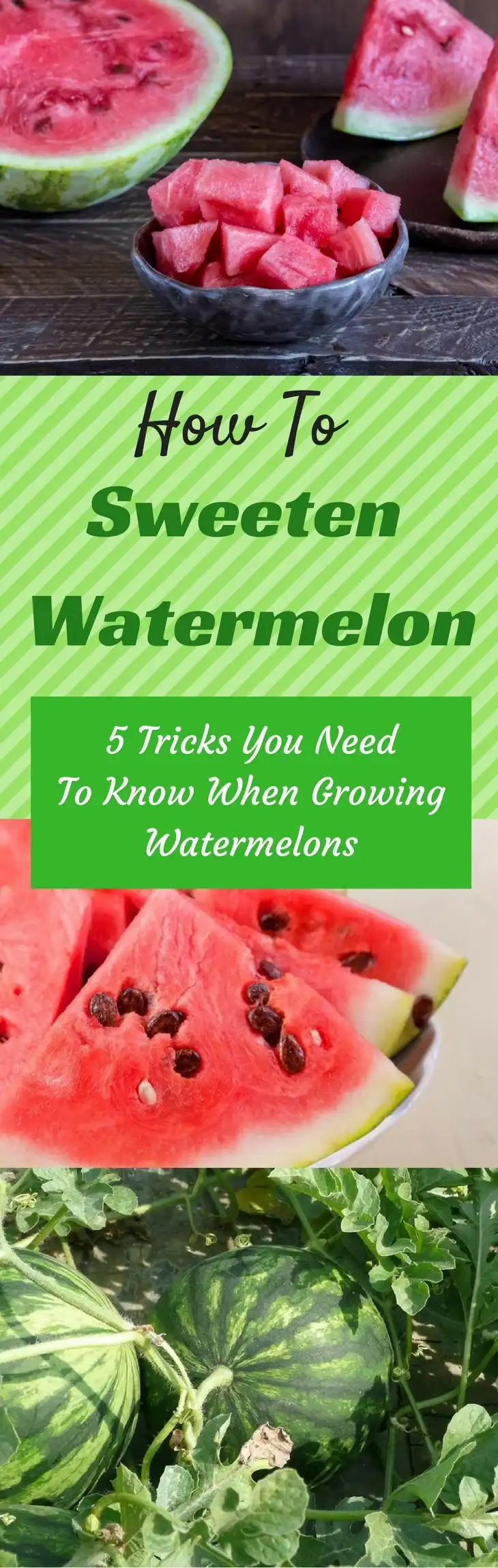 How To Sweeten A Watermelon - pin it