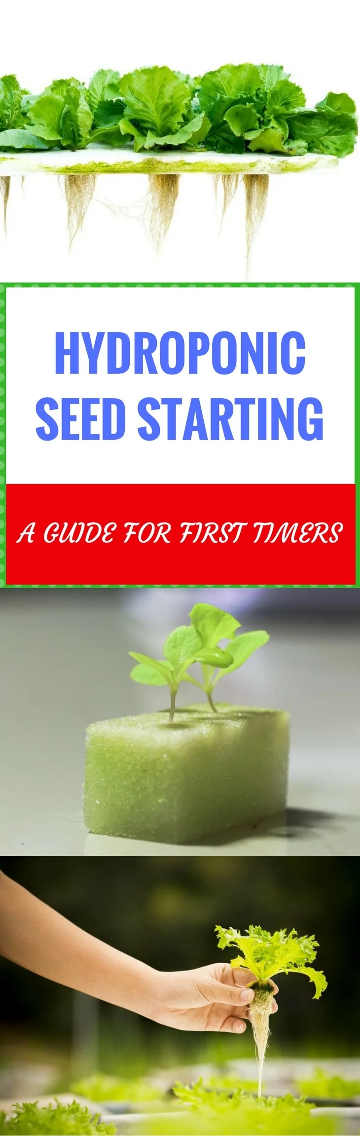 hydroponic seed starting pin it