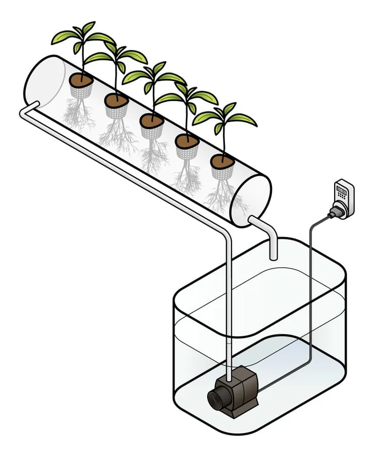 In NFT, a certain thin film of nutrient solution does flow by means of plastic channels