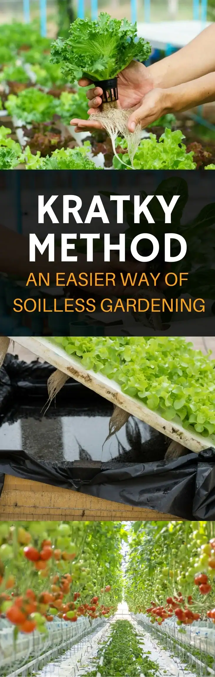 Kratky hydroponics pin it