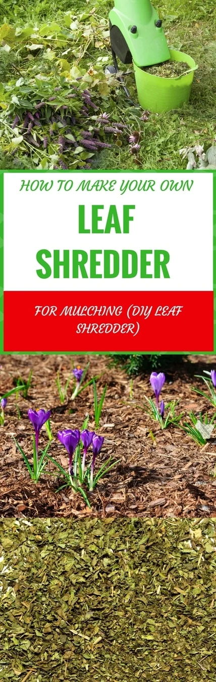 leaves shredder pin it