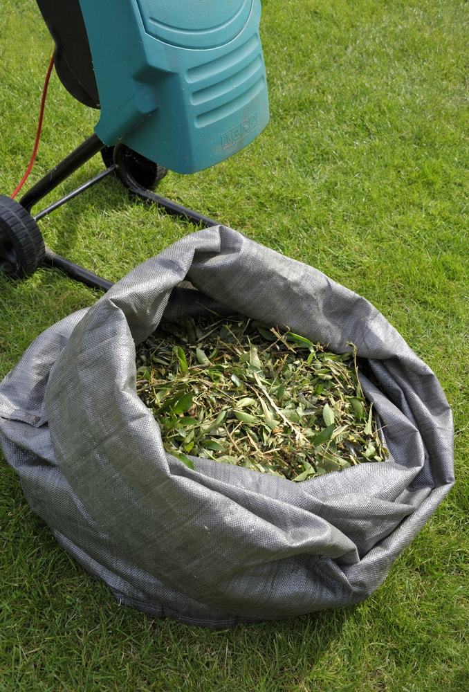 Leaves turned into an organic matter can prevent soil from drying out fast as they help in holding in moisture in the soil