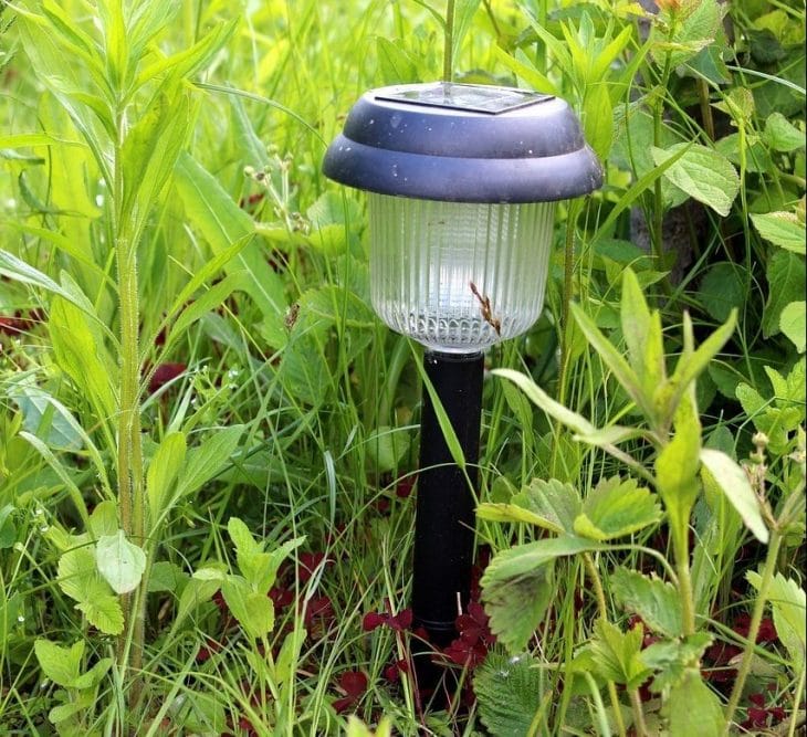 Solar garden light near grass