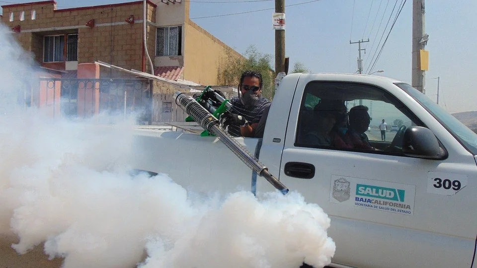 pomegranate tree - pest control